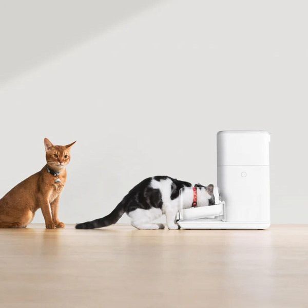 Смарт годівниця CATLINK Automatic Feeder Fresh 2 - Luxury 656-00614 фото