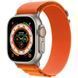 Ремешок Alpine Loop для Apple Watch 42(ser.1-3)/44/45/46/49mm (m/l) Orange 212-01281 фото 1