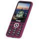 Мобільний телефон Sigma X-style 31 Power Type-C Purple (4827798855041) 898-4827798855041 фото 3