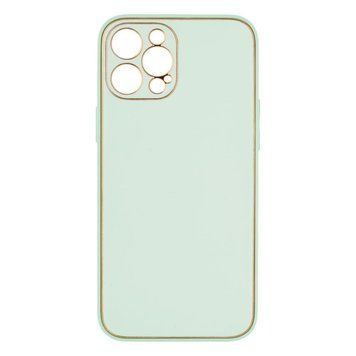 Чохол Leather Gold with Frame для iPhone 12 Pro Max Mint 207-00358 фото