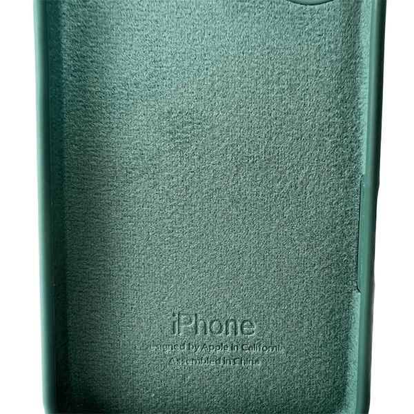 Силіконовий чохол для iPhone 16 Pine Green 666-01178 фото