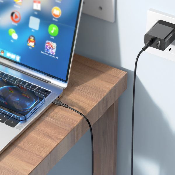 Кабель BOROFONE BX51 Triumph 60W charging data cable Type-C to Type-C Black 6931474751669 фото