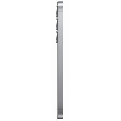 Мобильный телефон Samsung Galaxy S25 12/256Gb Silver Shadow (SM-S931BZSGEUC) SM-S931BZSGEUC фото