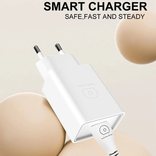 Сетевое зарядное устройство з кабелем WUW-T82 Single USB home charger set iP 6972573336555 фото