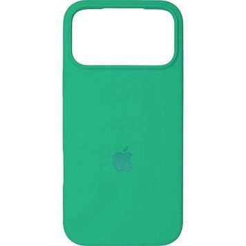 Силиконовый чехол для Apple iPhone 17 Pro Max Spearmint 208-06615 фото