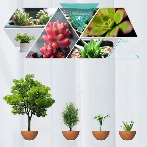 Магнітний левітаційний горщик для рослин HCNT Magnetic Levitating Pot M10-PS Wood Grain 656-03256 фото