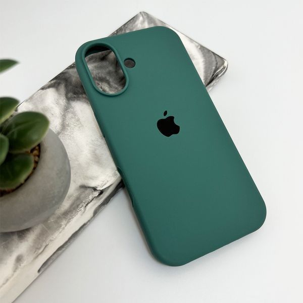 Силіконовий чохол для Apple iPhone 17 Pine Green 208-06674 фото