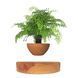 Магнітний левітаційний горщик для рослин HCNT Magnetic Levitating Pot M10-PS Wood Grain 656-03256 фото 1