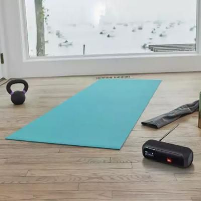 Акустическая система JBL Tuner 2 FM Black (JBLTUNER2BLK) JBLTUNER2BLK фото