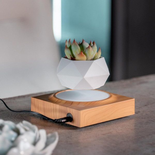 Магнітний левітаційний горщик для рослин HCNT Magnetic Levitating Pot M10-FP Wood Grain 656-03257 фото