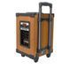 Портативна колонка HOCO HA2 Wave wireless dual-mic outdoor BT speaker Wooden Pattern 656-00766 фото 4