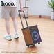 Портативна колонка HOCO HA2 Wave wireless dual-mic outdoor BT speaker Wooden Pattern 656-00766 фото 6