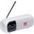 Акустична система JBL Tuner 2 FM White (JBLTUNER2WHT) JBLTUNER2WHT фото