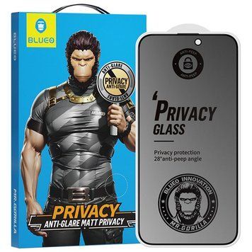 Захисне 2.5D скло Blueo Full Cover Anti-Peep Matte для Apple iPhone 15 / 16 (6.1") 777-08419 фото