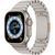 Ремешок Steel для Apple Watch 38/40/41/42mm(ser.10) (140-190mm) Steel 212-01572 фото