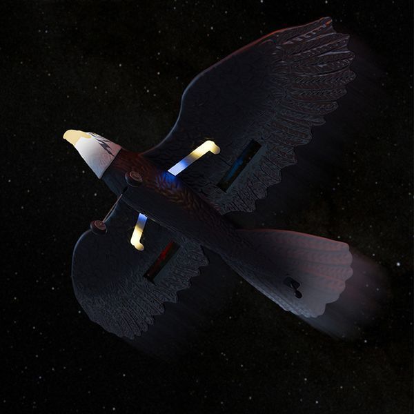 Літак-птица на радіокеруванні SCHE HW40 Eagle Black 656-03527 фото