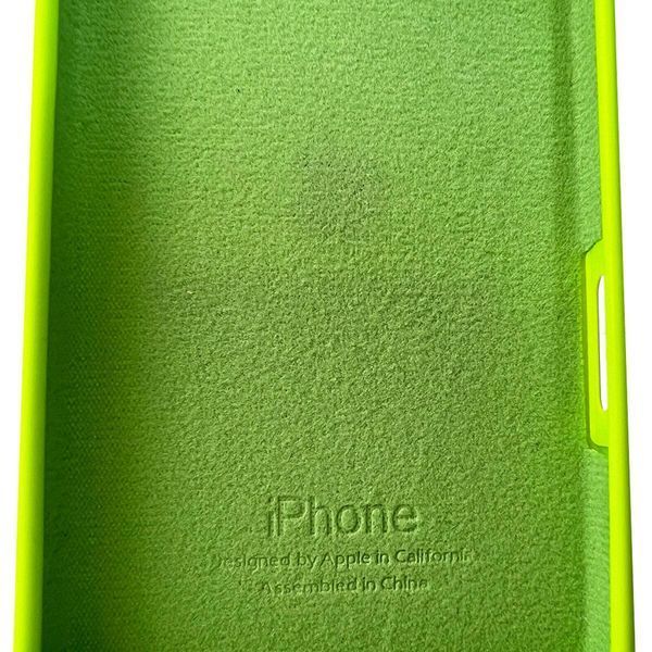Силиконовый чехол для iPhone 16 Shiny Green 666-01186 фото