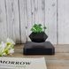 Магнитный левитирующий горшок для растений HCNT Magnetic Levitating Pot M10-GW4 Black 656-03262 фото 4