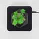 Магнитный левитирующий горшок для растений HCNT Magnetic Levitating Pot M10-GW4 Black 656-03262 фото 3