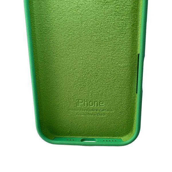 Силиконовый чехол для iPhone 16 Spearmint 666-01189 фото