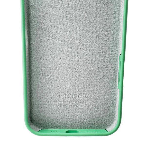 Силиконовый чехол для iPhone 16 Pro Max Spearmint 666-01295 фото