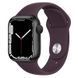 Ремінець Hoco WA01 Flexible series Apple watch (38/40/41mm) Crimson Cherry 212-01296 фото 1