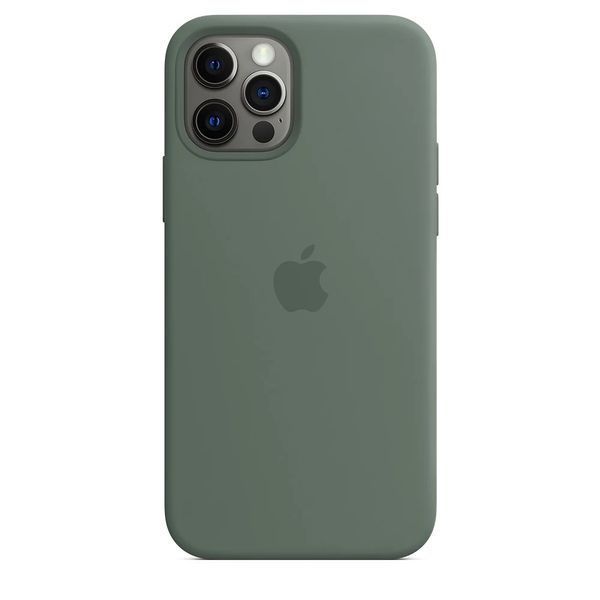 Силиконовый чехол для iPhone 12/12 Pro Pine Green 208-00458 фото