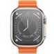 Смарт-часы Borofone BD3 Ultra smart sports watch (call version) Gold 213-00071 фото 1