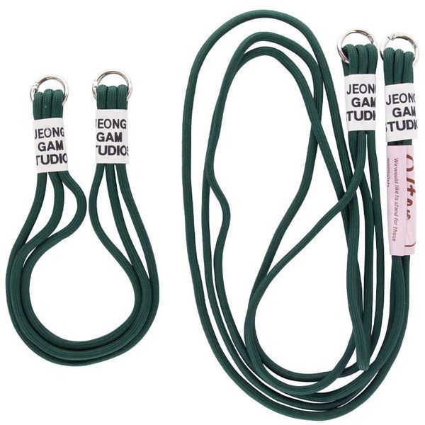 Чехол TPU two straps California для iPhone 13 Pro Forest green 208-05640 фото