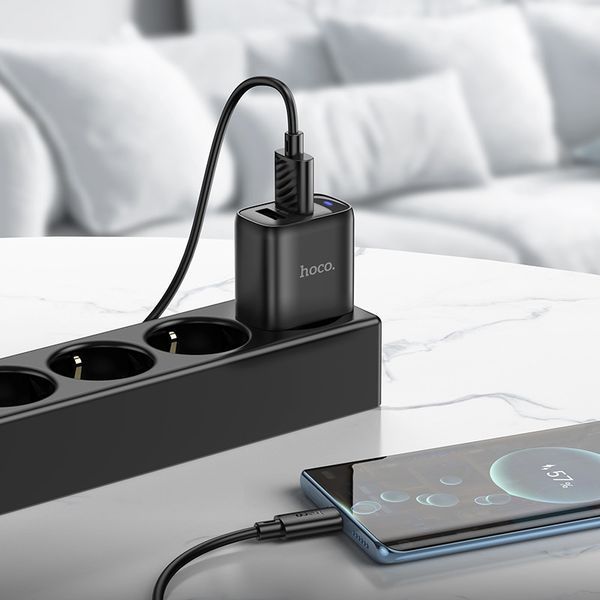 Мережевий зарядний пристрій HOCO C141A Smart dual-port charger Black 6942007627849 фото