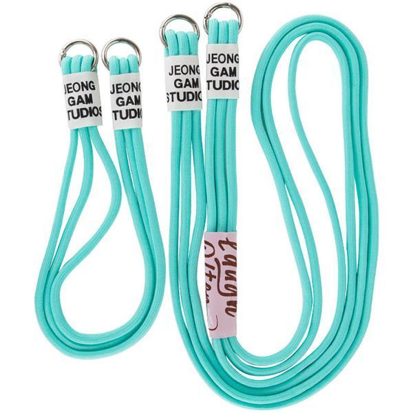 Чехол TPU two straps California для iPhone 12 Pro / 12 Marine Green 208-05618 фото