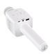 Портативная колонка-микрофон HOCO BK5 Cantando karaoke microphone, 5W, White 6931474742292 фото 2