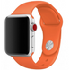 Силіконовий ремінець для Apple Watch 38/40/41 мм Orange 212-00622 фото 1