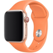 Силіконовий ремінець для Apple Watch 38/40/41 мм Papaya 212-00623 фото 1