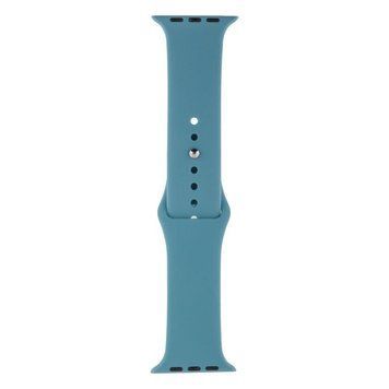 Ремінець для Apple Watch Band Silicone One-Piece Size-S 42/44/45/49 mm Cactus Color 212-02039 фото