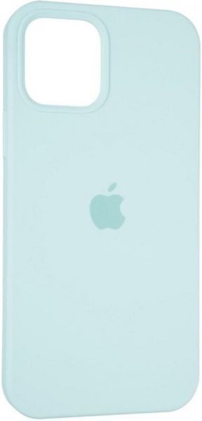 Силиконовый чехол для iPhone 12 Pro Max Turqouise 208-00384 фото