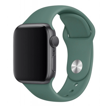 Силиконовый ремешок для Apple Watch 38/40/41 мм Pine Green 212-00625 фото