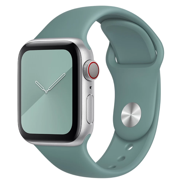 Силиконовый ремешок для Apple Watch 38/40/41 мм Pine Green 212-00625 фото