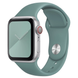 Силиконовый ремешок для Apple Watch 38/40/41 мм Pine Green 212-00625 фото 2