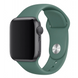 Силіконовий ремінець для Apple Watch 42/44/45/49 мм Pine Green 212-00675 фото 1
