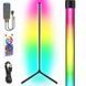 Напольная угловая LED лампа RGB Magic 1 Bluetooth USB with app Black 656-03686 фото 1