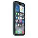 Чохол Silicone Full Case with MagSafe для iPhone 16 Pro Pacific Green 656-01256 фото 2