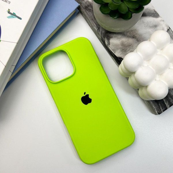 Силиконовый чехол для iPhone 16 Pro Shiny Green 666-01221 фото