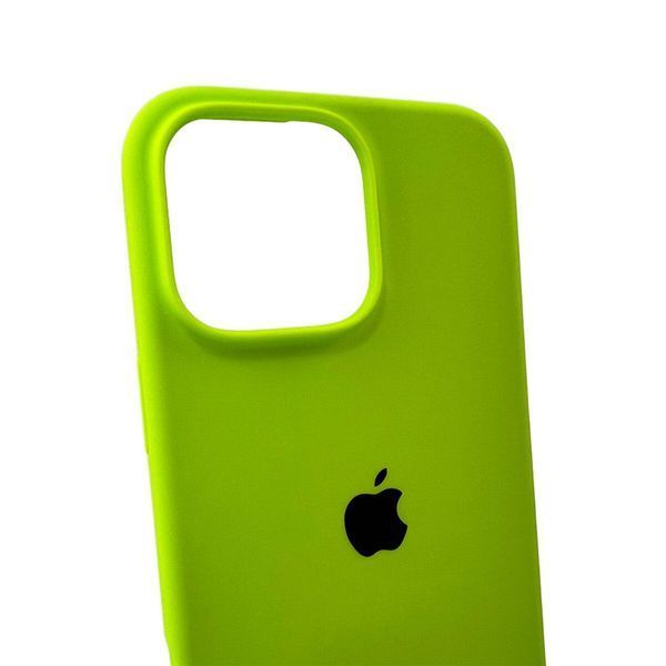Силиконовый чехол для iPhone 16 Pro Shiny Green 666-01221 фото