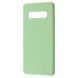 Чохол WAVE Colorful Case (TPU) Samsung Galaxy S10 (G973F) Mint gum 656-06053 фото 1
