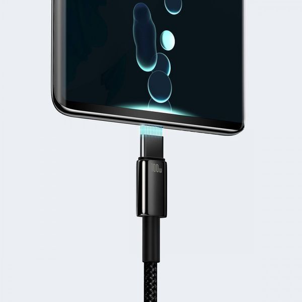 Кабель Baseus Tungsten Gold Fast Charging USB to Type-C 100W (2m) Black CAWJ000101 фото
