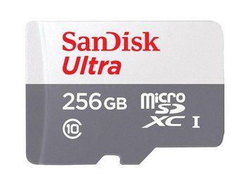 Карта памяти microSDXC (UHS-1) SanDisk Ultra 256Gb class 10 A1 (100Mb/s) SDSQUNR-256G-GN3MN фото