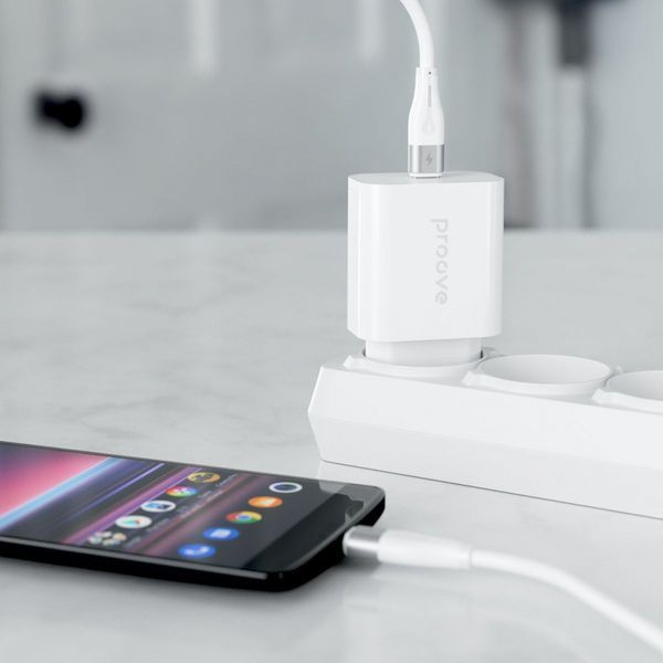 Мережевий зарядний пристрій Proove Rapid 30W (Type-C) + Кабель Type-C to Type-C white 656-02624 фото