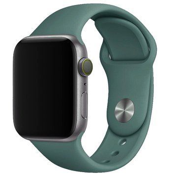 Силіконовий ремінець для Apple Watch 38/40/41/42mm(ser.10) Pine green 212-01157 фото