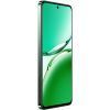 Мобильный телефон Oppo Reno12 F 5G 8/256GB Black Green (OFCPH2637_BLACK_8/256) OFCPH2637_BLACK_8/256 фото